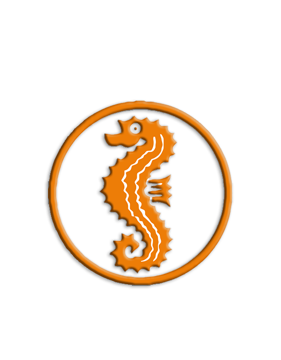 onlineschwimmschule-seepferdchen